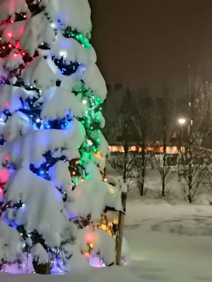 Domki Przy Skwerku Zakopane