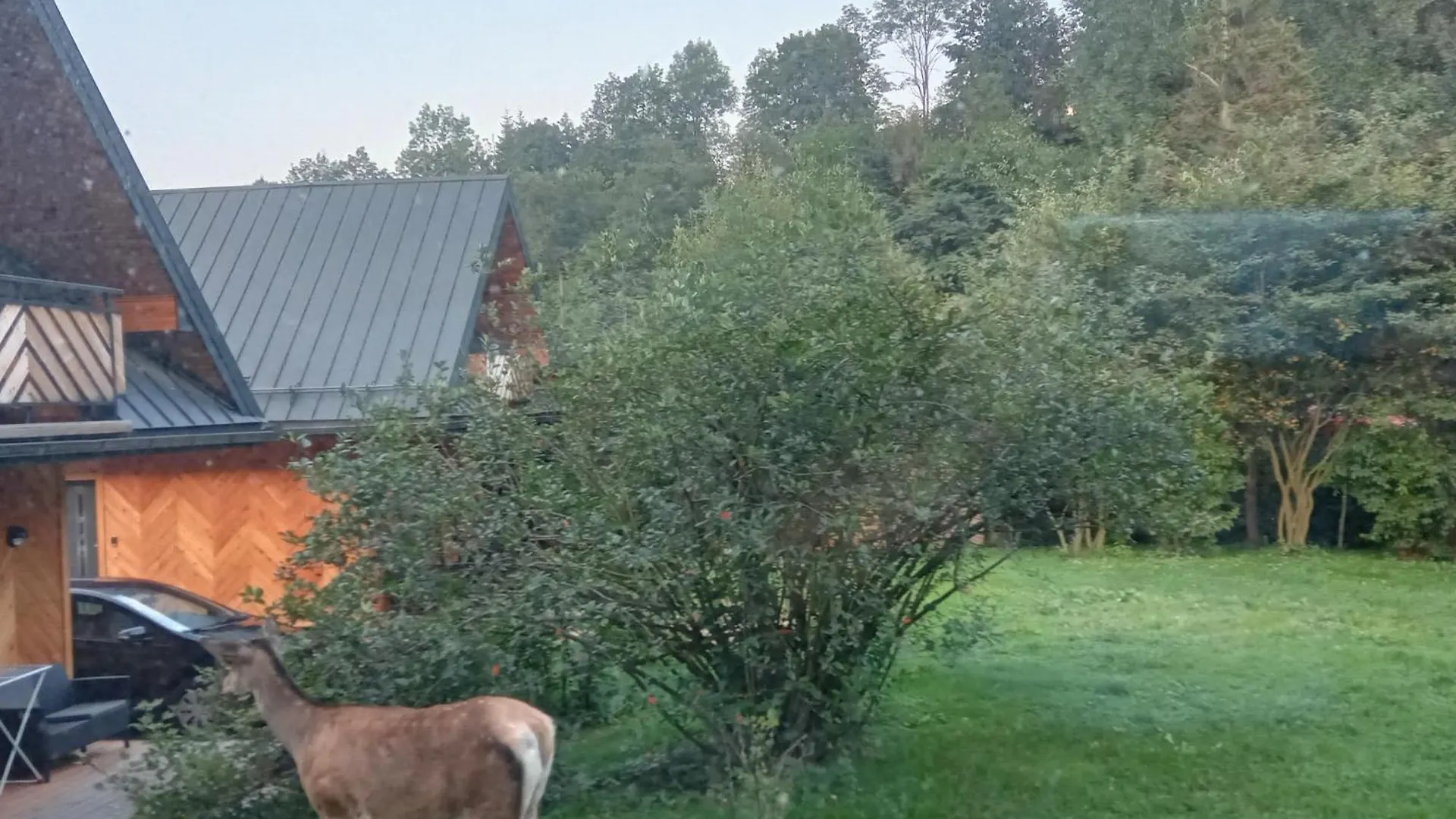 Domki Przy Skwerku Zakopane